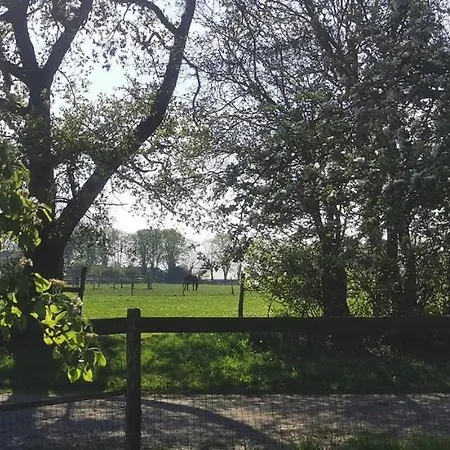 Le Repos Des Crins Noirs