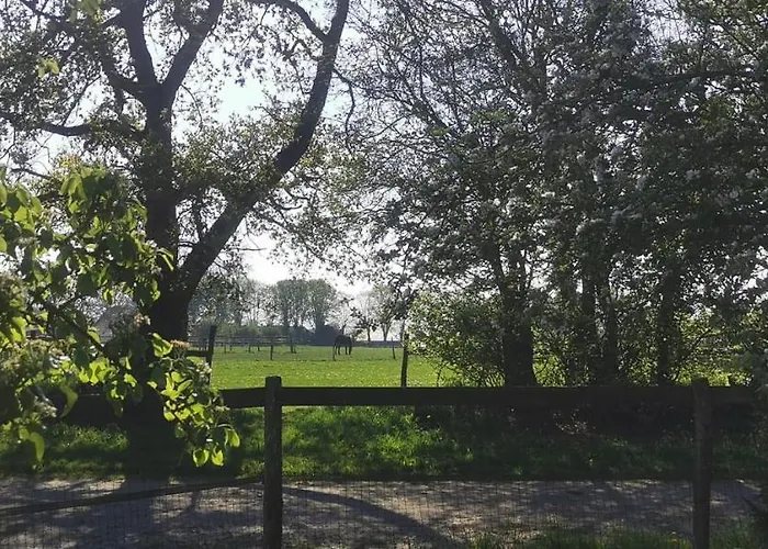 Le Repos Des Crins Noirs