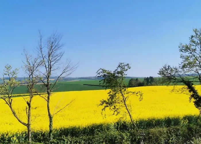 Le Repos Des Crins Noirs Apartman Esson